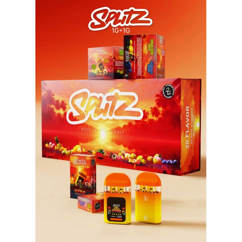 Splitz 2g Dual Chamber Empty Vape Pen with LCD Screen (1G+1G)